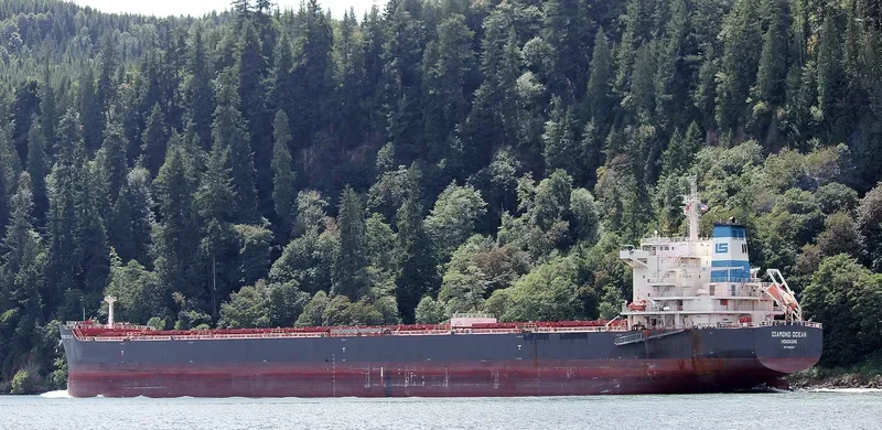OCEAN THYME Bulk Carrier IMO 9642801 photo 7