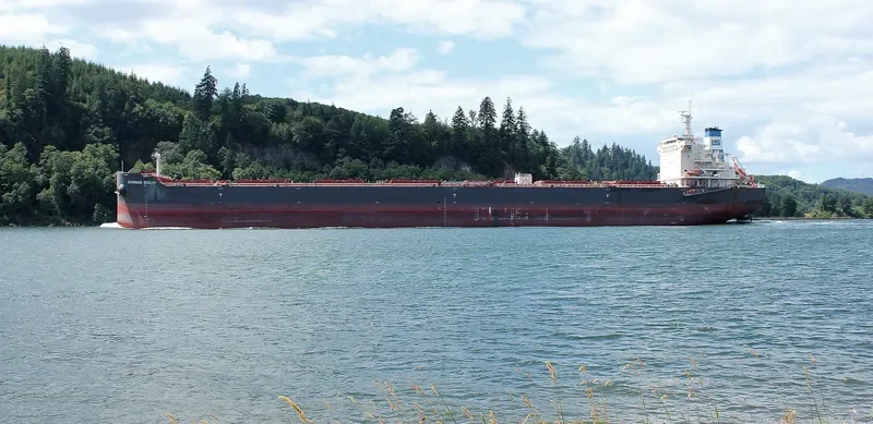 OCEAN THYME Bulk Carrier IMO 9642801 photo 8