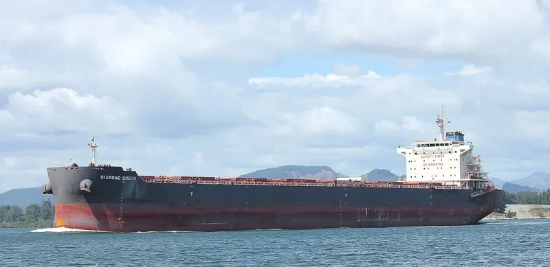 OCEAN THYME Bulk Carrier IMO 9642801 photo 9