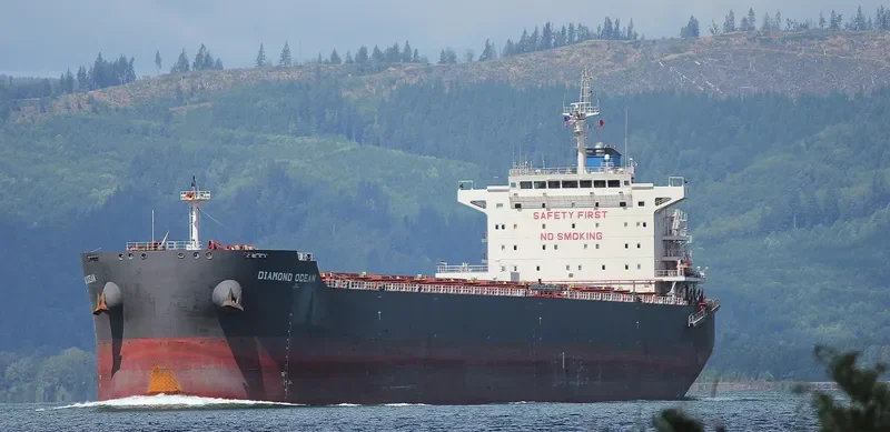 OCEAN THYME Bulk Carrier IMO 9642801 photo 10