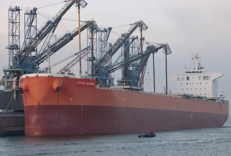 THE HARMONY Bulk Carrier IMO 9643154