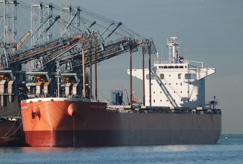 THE HARMONY Bulk Carrier IMO 9643154 photo 2