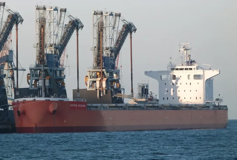 THE HARMONY Bulk Carrier IMO 9643154 photo 3