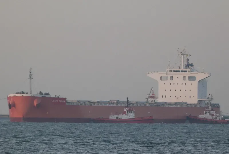 THE HARMONY Bulk Carrier IMO 9643154 photo 4