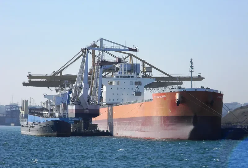THE HARMONY Bulk Carrier IMO 9643154 photo 5