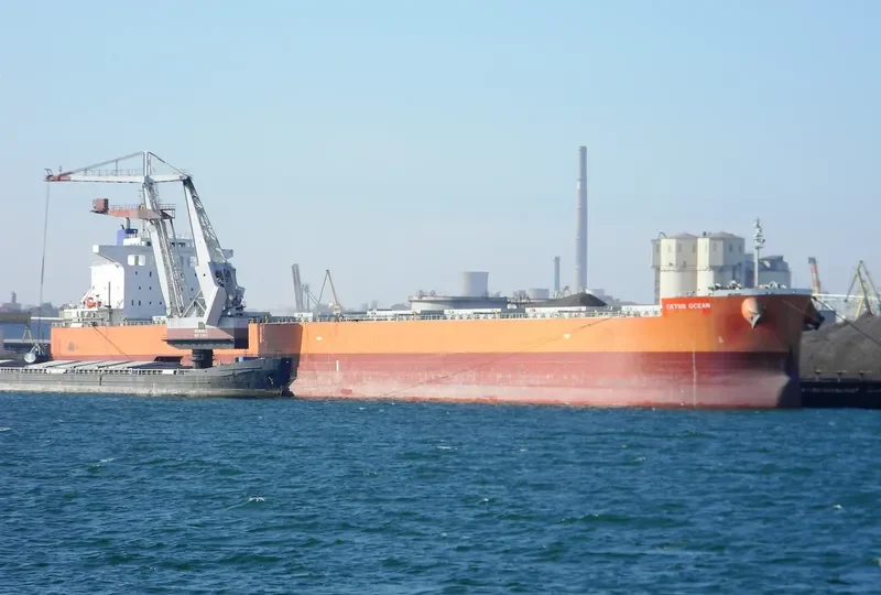 THE HARMONY Bulk Carrier IMO 9643154 photo 6