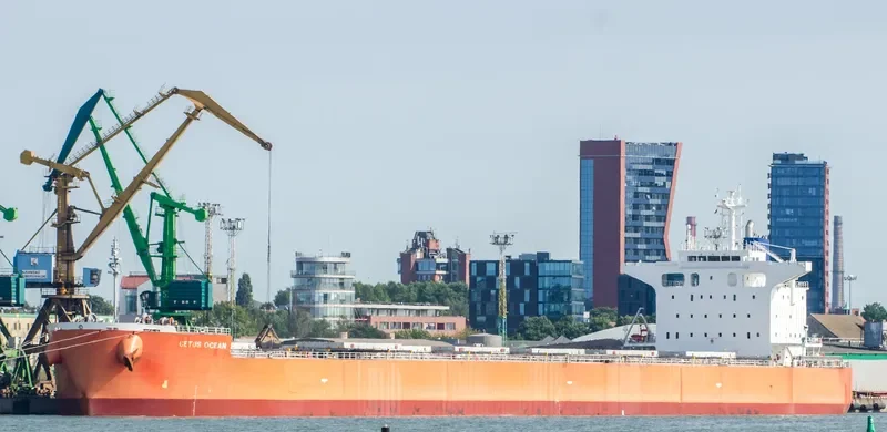 THE HARMONY Bulk Carrier IMO 9643154 photo 7