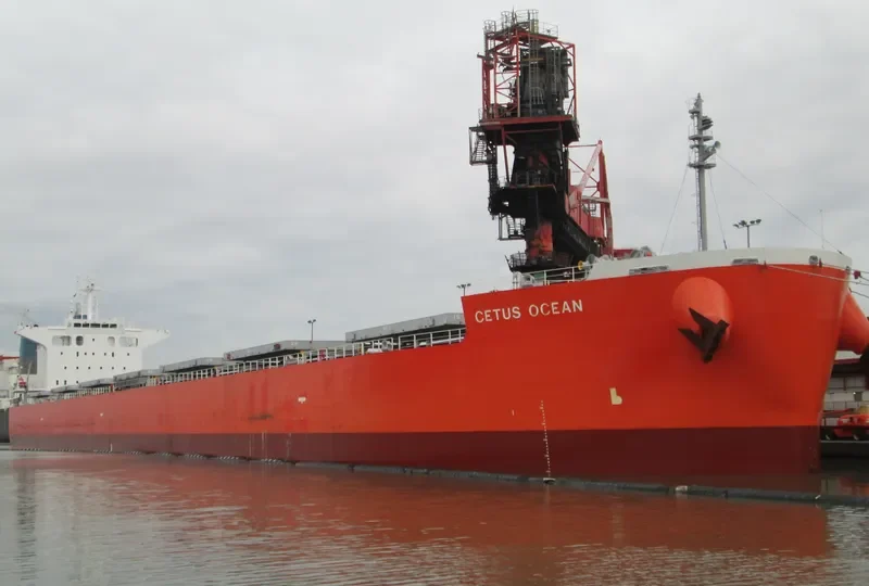 THE HARMONY Bulk Carrier IMO 9643154 photo 9