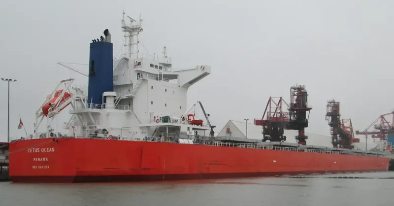 THE HARMONY Bulk Carrier IMO 9643154 photo 10