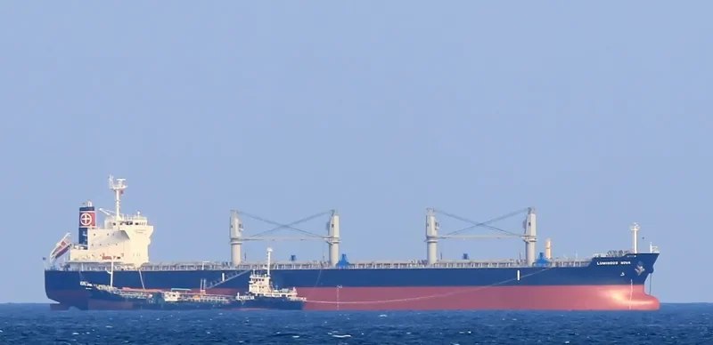 LUMINOUS NOVA Bulk Carrier IMO 9643166