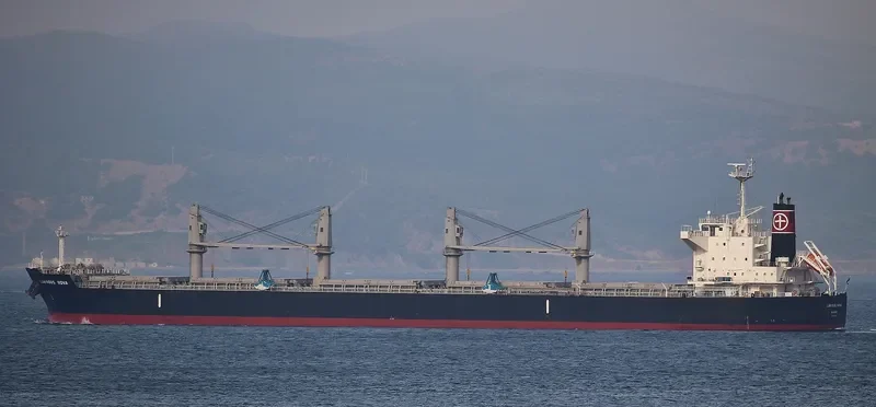 LUMINOUS NOVA Bulk Carrier IMO 9643166 photo 2