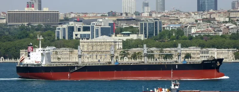 LUMINOUS NOVA Bulk Carrier IMO 9643166 photo 3
