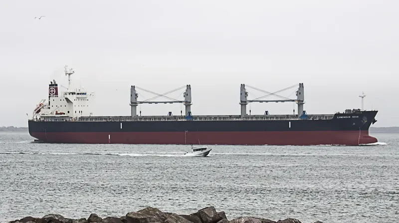 LUMINOUS NOVA Bulk Carrier IMO 9643166 photo 4
