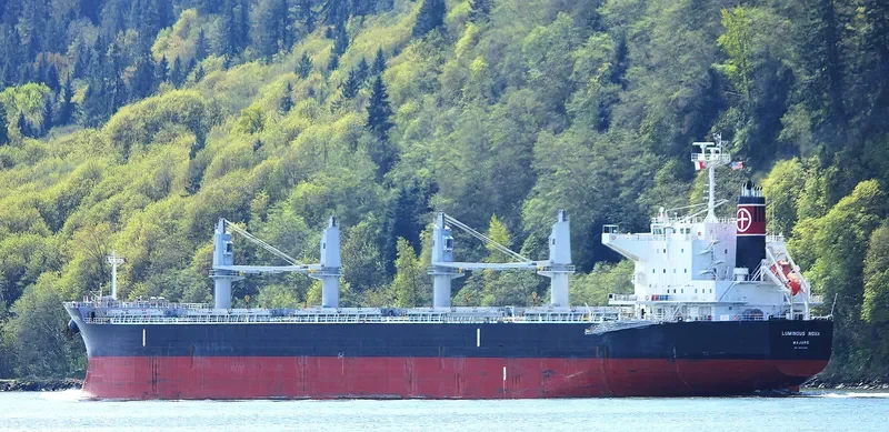 LUMINOUS NOVA Bulk Carrier IMO 9643166 photo 5