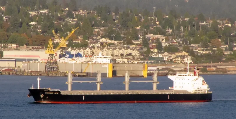 LUMINOUS NOVA Bulk Carrier IMO 9643166 photo 7
