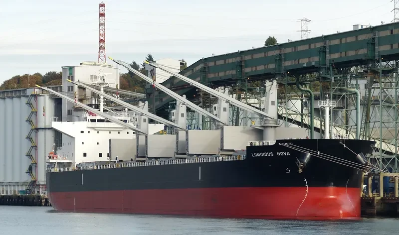 LUMINOUS NOVA Bulk Carrier IMO 9643166 photo 8