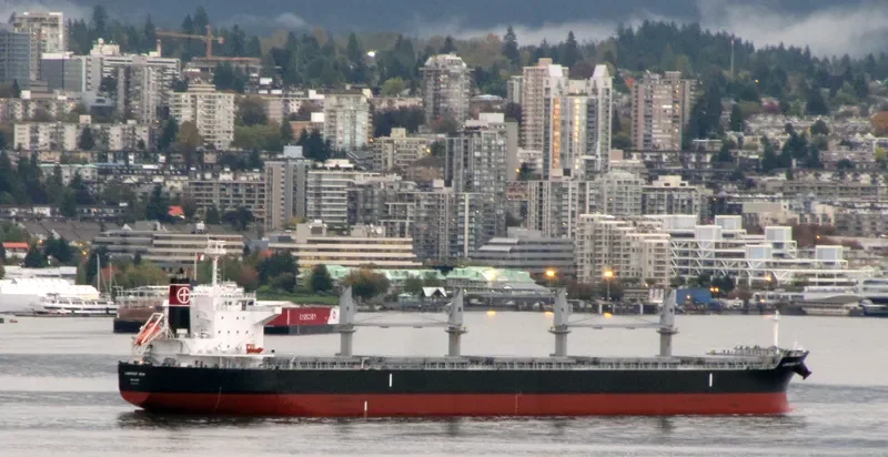 LUMINOUS NOVA Bulk Carrier IMO 9643166 photo 10