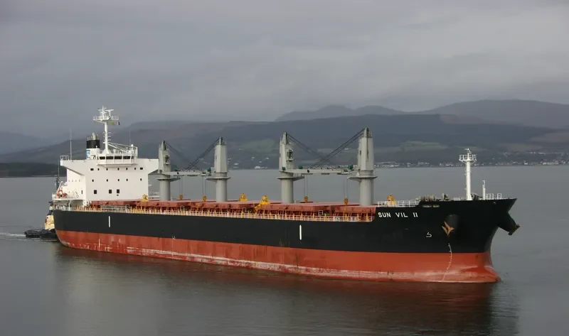 SUN VIL II Bulk Carrier IMO 9643178 photo 3