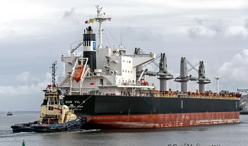 SUN VIL II Bulk Carrier IMO 9643178 photo 8