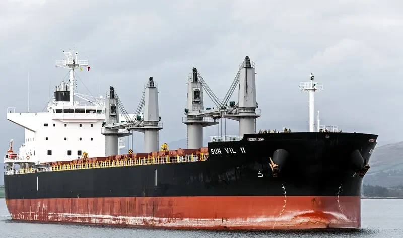 SUN VIL II Bulk Carrier IMO 9643178 photo 9