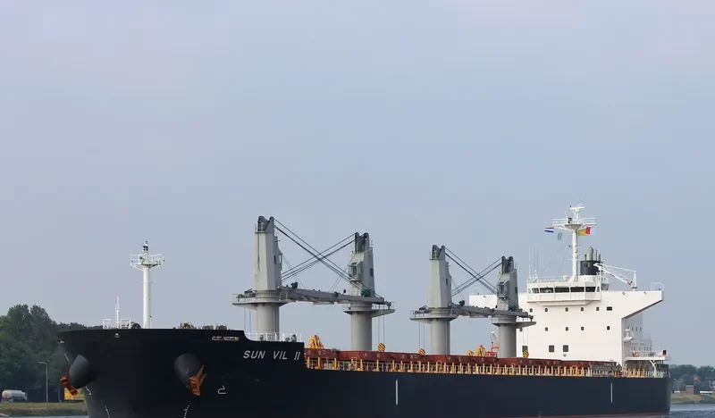 SUN VIL II Bulk Carrier IMO 9643178 photo 10