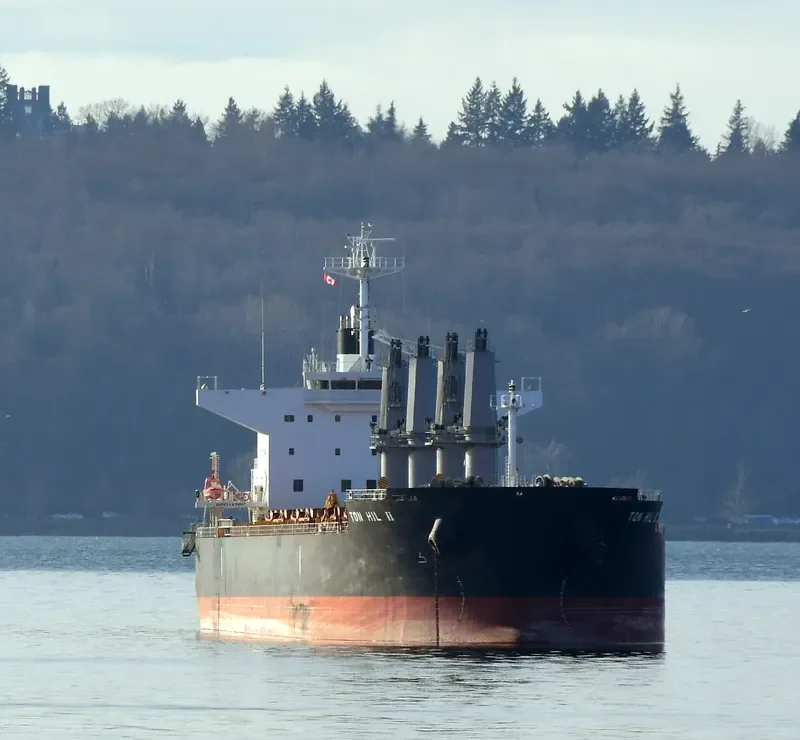 TON HIL II Bulk Carrier IMO 9643180 photo 2