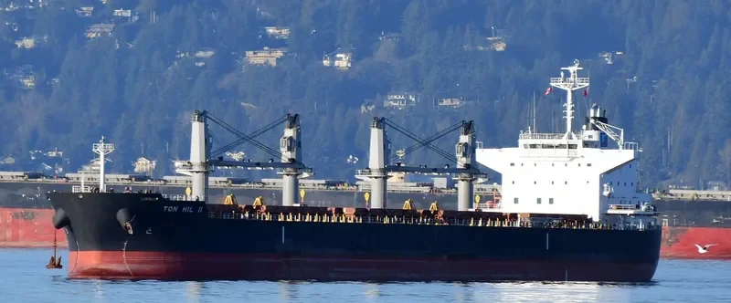 TON HIL II Bulk Carrier IMO 9643180 photo 3