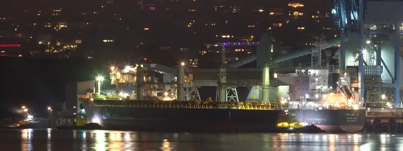 TON HIL II Bulk Carrier IMO 9643180 photo 4