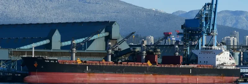 TON HIL II Bulk Carrier IMO 9643180 photo 5