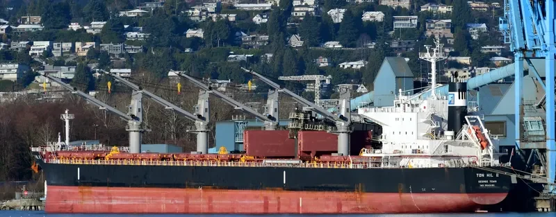 TON HIL II Bulk Carrier IMO 9643180 photo 6