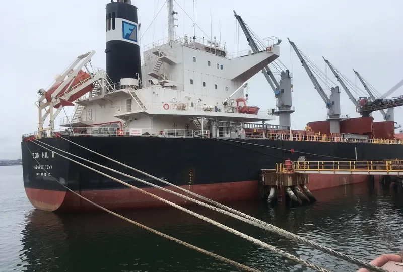 TON HIL II Bulk Carrier IMO 9643180 photo 7