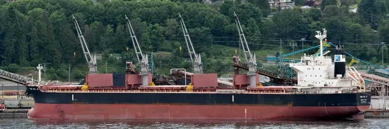 TON HIL II Bulk Carrier IMO 9643180 photo 8