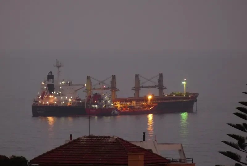 TON HIL II Bulk Carrier IMO 9643180 photo 9