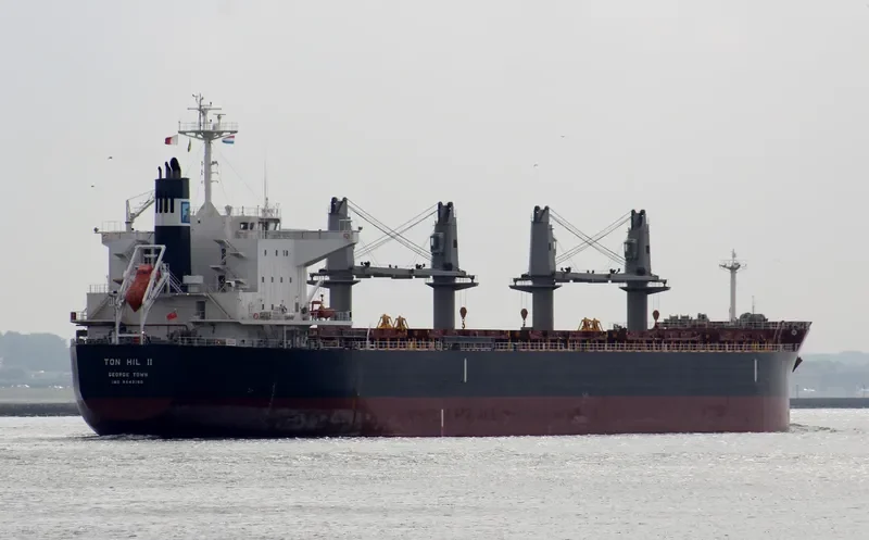 TON HIL II Bulk Carrier IMO 9643180 photo 10