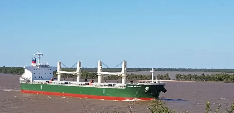 OCEAN BRIGHT Bulk Carrier IMO 9643192 photo 2