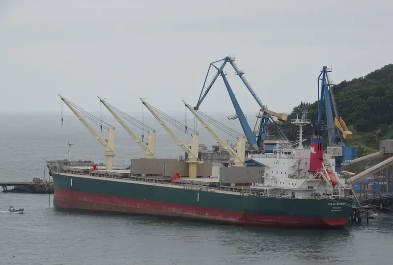 OCEAN BRIGHT Bulk Carrier IMO 9643192 photo 3