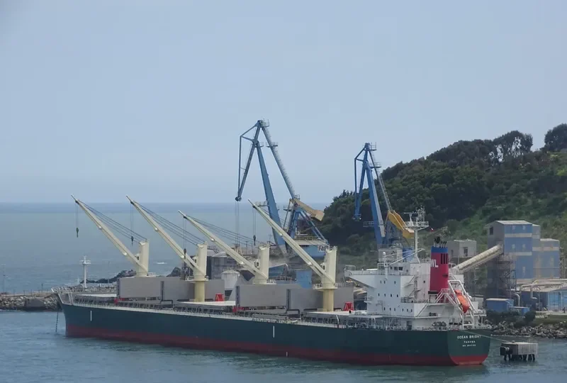 OCEAN BRIGHT Bulk Carrier IMO 9643192 photo 4