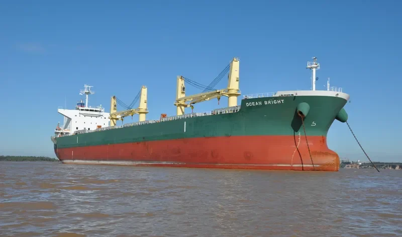 OCEAN BRIGHT Bulk Carrier IMO 9643192 photo 6