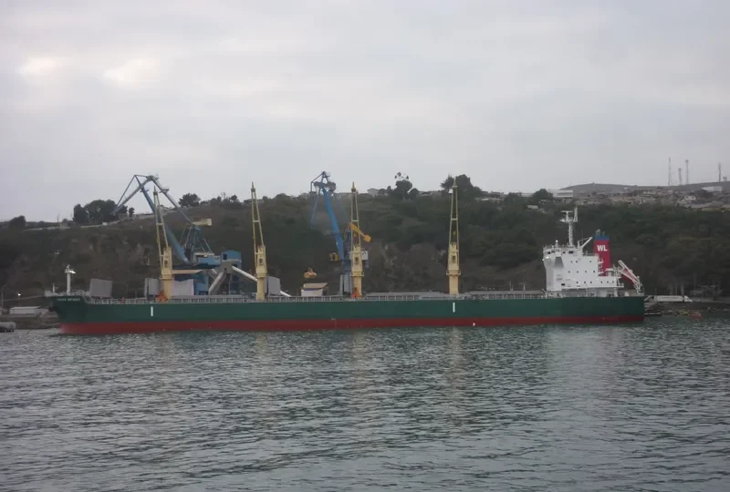 OCEAN BRIGHT Bulk Carrier IMO 9643192 photo 8