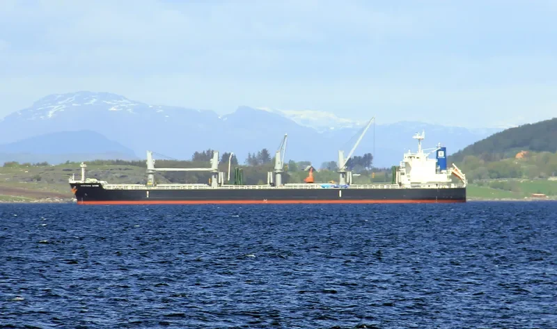 KING BATON ROUGE Bulk Carrier IMO 9643207 photo 6