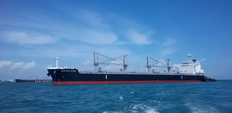 KING BATON ROUGE Bulk Carrier IMO 9643207 photo 10