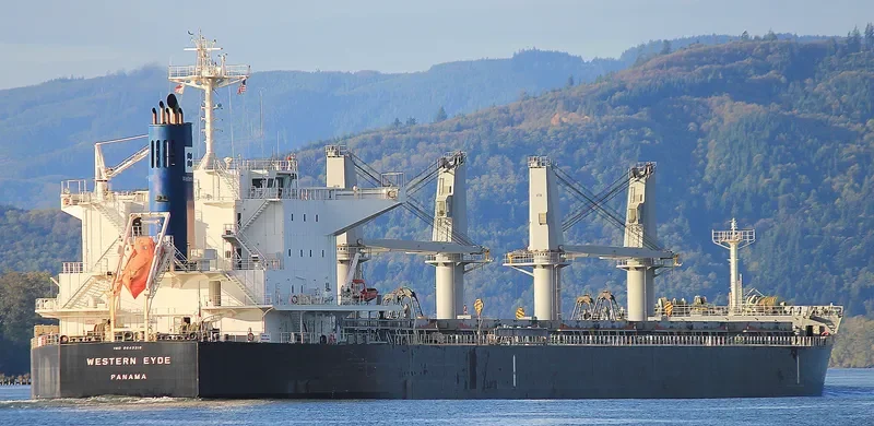 WESTERN EYDE Bulk Carrier IMO 9643219 photo 4