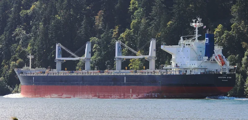 WESTERN EYDE Bulk Carrier IMO 9643219 photo 5