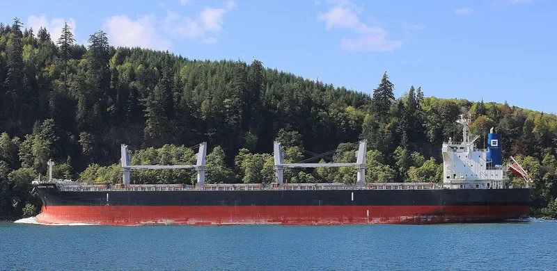 WESTERN EYDE Bulk Carrier IMO 9643219 photo 6