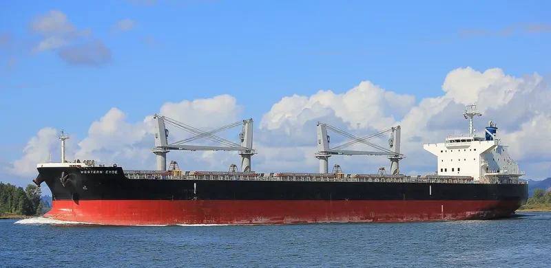WESTERN EYDE Bulk Carrier IMO 9643219 photo 7
