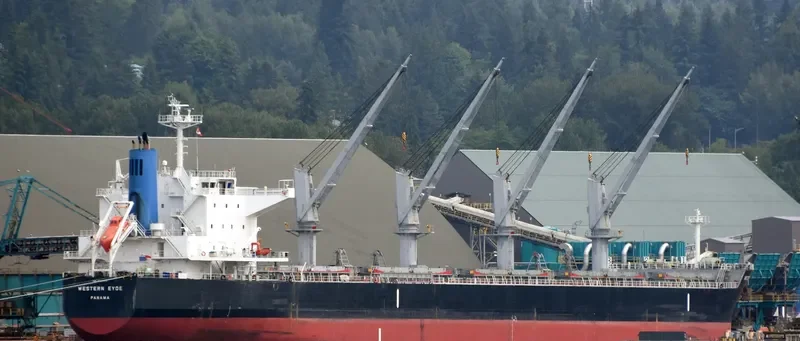 WESTERN EYDE Bulk Carrier IMO 9643219 photo 10
