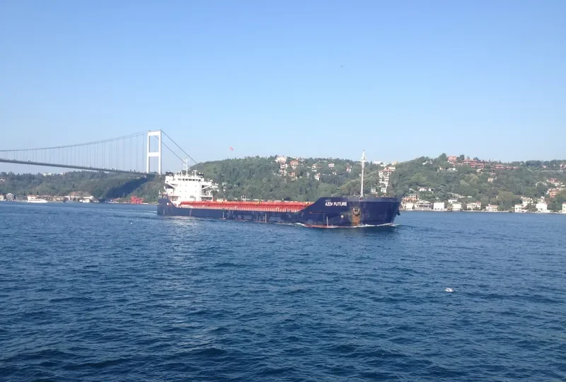 AZOV FUTURE General Cargo IMO 9643233 photo 4
