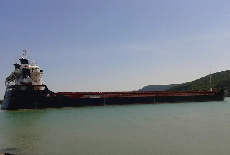 AZOV FUTURE General Cargo IMO 9643233 photo 8