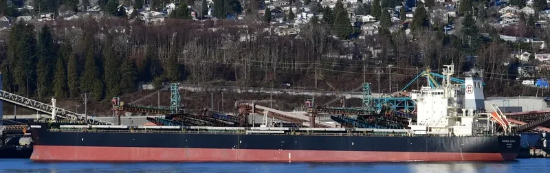 KMARIN KENAI Bulk Carrier IMO 9643295