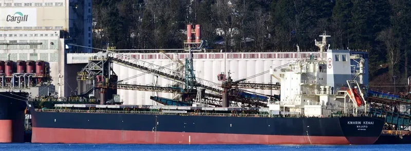KMARIN KENAI Bulk Carrier IMO 9643295 photo 2